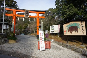 SONY DSC